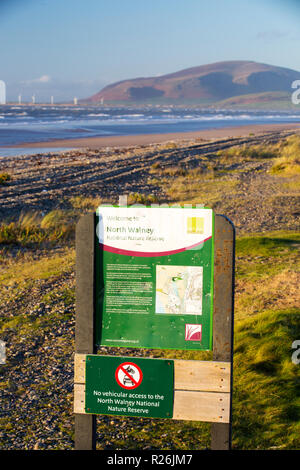 À la Combe Noire vers le nord de Walney réserve naturelle sur l'Île Walney, Cumbria, UK. Banque D'Images