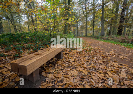 Un banc en bois avec une inscription sur le haut dans les grands bois à blickling estate, Norfolk en automne avec des couleurs de saison d'automne et de sentiers. Banque D'Images