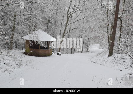 Une cabane en bois, un lieu de repos pendant la journée de la randonnée dans la forêt d'hiver au pied de la haute forêt dans la campagne de la Sarre. Banque D'Images