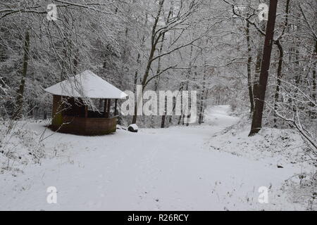 Une cabane en bois, un lieu de repos pendant la journée de la randonnée dans la forêt d'hiver au pied de la haute forêt dans la campagne de la Sarre. Banque D'Images