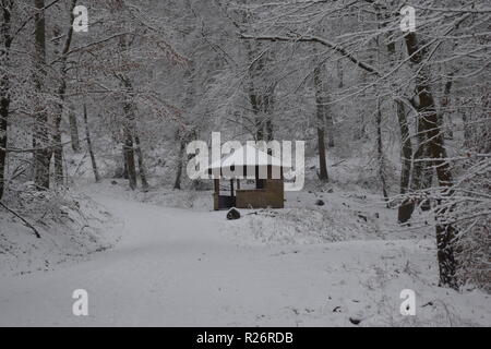 Une cabane en bois, un lieu de repos pendant la journée de la randonnée dans la forêt d'hiver au pied de la haute forêt dans la campagne de la Sarre. Banque D'Images