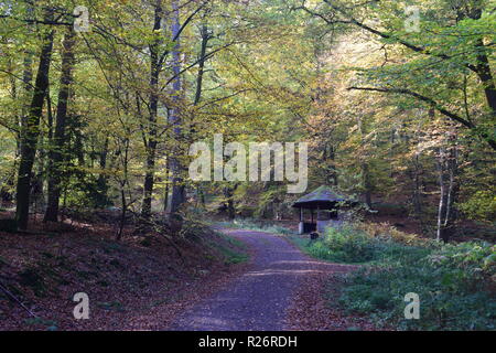 Une cabane en bois, un lieu de repos au cours de journée de randonnée dans la forêt d'automne au pied de la haute forêt dans la campagne de la Sarre. Banque D'Images
