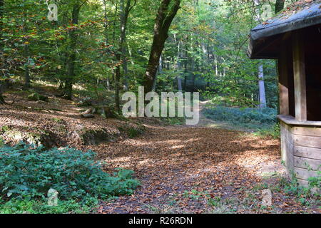 Une cabane en bois, un lieu de repos au cours de journée de randonnée dans la forêt d'automne au pied de la haute forêt dans la campagne de la Sarre. Banque D'Images