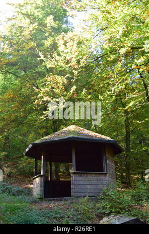Une cabane en bois, un lieu de repos au cours de journée de randonnée dans la forêt d'automne au pied de la haute forêt dans la campagne de la Sarre. Banque D'Images
