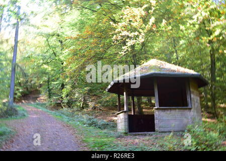 Une cabane en bois, un lieu de repos au cours de journée de randonnée dans la forêt d'automne au pied de la haute forêt dans la campagne de la Sarre. Banque D'Images