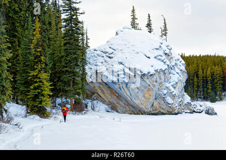 42 755,09703 femme personne froid hiver Randonnée pédestre Lac Maligne avec d'énormes blocs de roche de 30 pieds de haut, le Parc National Jasper, la randonnée d'hiver enneigés de conifères Banque D'Images