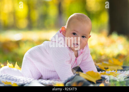 Petite fille s'amusant dans un parc d'automne de ramper sur un tapis entre les feuilles d'automne jaune coloré Banque D'Images