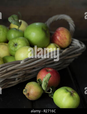 Pommes mixtes du jardin, manger et cuisiner les pommes Banque D'Images