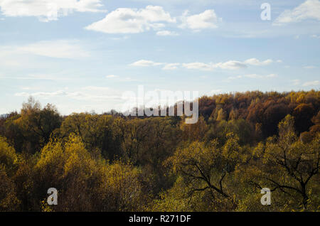 Paysage d'automne : une forêt multi-couleur soleil, ciel bleu avec des nuages blancs. Banque D'Images