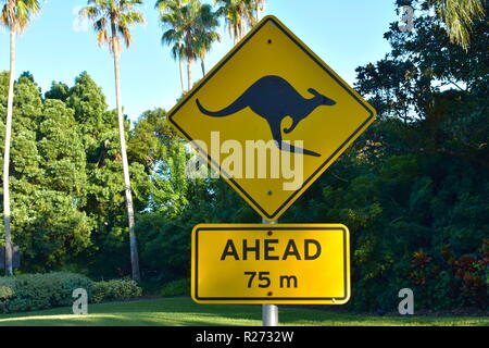 Tampa, Floride. 25 octobre 2018 Kangaroo panneau jaune sur le vert de la forêt et de palmiers à l'arrière-plan de Tampa Bay. Banque D'Images