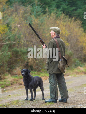 Prise de l'homme et son chien labrador faisans Banque D'Images