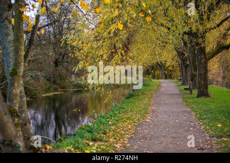 L'automne dans Daisy Nook Banque D'Images