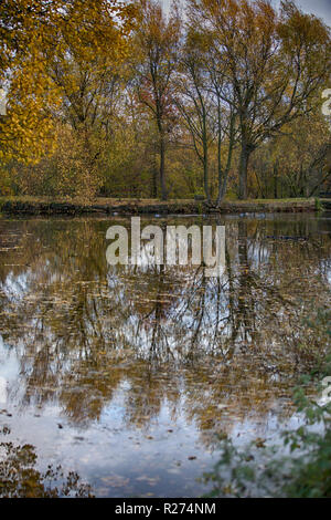 L'automne dans Daisy Nook Banque D'Images