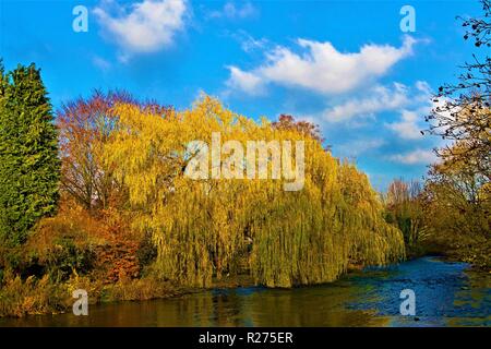 La fin de la capture d'un après-midi ensoleillé d'automne dans la région de Ashford sur l'eau, une belle et pittoresque village, dans le Livre blanc du Derbyshire Peaks. Banque D'Images