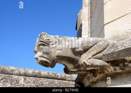 Monstre mythique, créature ou gargouille Grotesque Palais des Papes, le Palais des Papes ou le Palais des Papes Avignon Provence France Banque D'Images