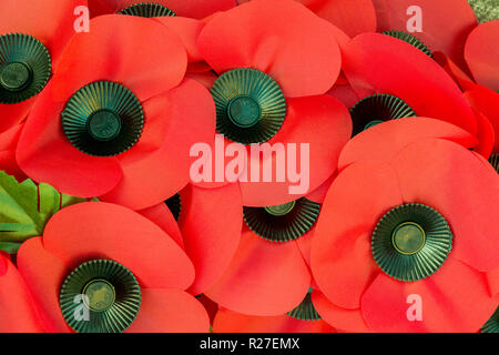 Close Up of Red Poppies sur une couronne de Jour du Souvenir Banque D'Images