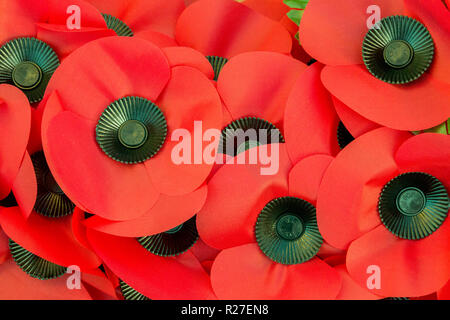 Close Up of Red Poppies sur une couronne de Jour du Souvenir Banque D'Images