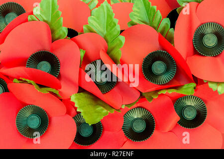 Close Up of Red Poppies sur une couronne de Jour du Souvenir Banque D'Images