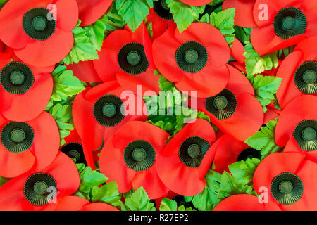 Close Up of Red Poppies sur une couronne de Jour du Souvenir Banque D'Images