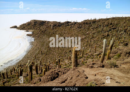 Superbe vue aérienne de Isla Incahuasi (Isla del Pescado), l'éperon rocheux plein de cactus situé dans le centre d'Uyuni, Bolivie Banque D'Images