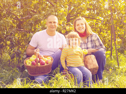 Heureux parents et enfants avec des paniers de pommes récoltées dans le jardin Banque D'Images