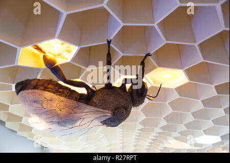 Une abeille géante dans l'exposition Musée de l'abeille à Pastida Village, île de Rhodes. Rodos. La Grèce. Banque D'Images