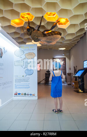 Une petite fille prend intérêt dans des présentations éducatives sur les abeilles et le miel. Musée de l'abeille à Pastida Village, île de Rhodes. Rodos. La Grèce. Banque D'Images