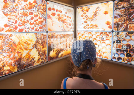 Une petite fille prend intérêt dans des présentations éducatives sur les abeilles et le miel. Musée de l'abeille à Pastida Village, île de Rhodes. Rodos. La Grèce. Banque D'Images