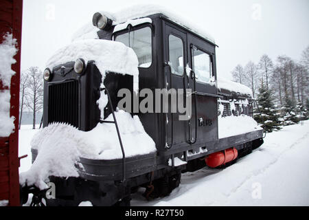 Vilnius, Lituanie - Jan 07, 2011 : TU4 locomotive soviétique à Grutas Park (Gruto parkas), un jardin de sculptures de statues de l'ère soviétique et une expositio Banque D'Images