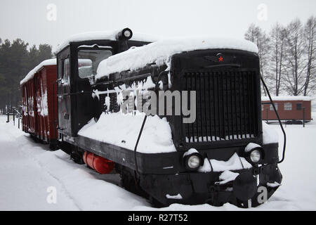 Vilnius, Lituanie - Jan 07, 2011 : TU4 locomotive soviétique à Grutas Park (Gruto parkas), un jardin de sculptures de statues de l'ère soviétique et une expositio Banque D'Images