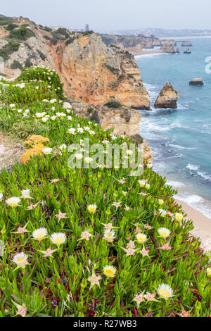 Plage idyllique de Praia do Camilo, proche de Lagos, en Algarve au Portugal Banque D'Images