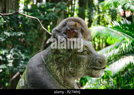 Monkey couché sur la statue dans la forêt des singes à Bali, Indonésie Banque D'Images