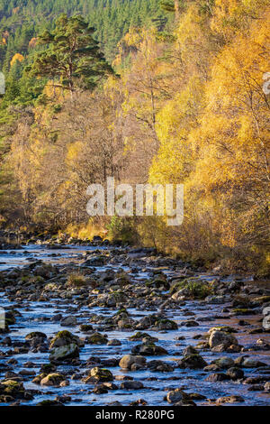 River Affric et couleurs d'automne dans la région de Glen Affric Banque D'Images