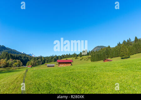 Buckelwiesen ou moraines meadows dans le village de Gerold, Krün, contreforts des Alpes, Upper Bavaria, Bavaria, Germany, Europe du Sud Banque D'Images