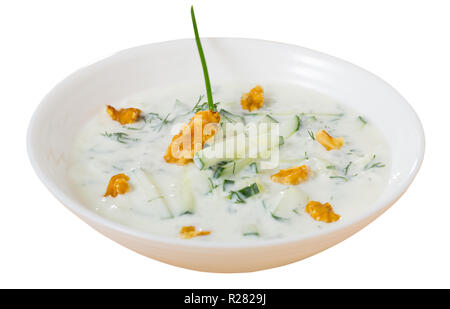 Une cuisine macédonienne traditionnelle soupe de légumes froide Tarator avec le concombre, les noix, l'ail et le yaourt. Plus isolé sur fond blanc Banque D'Images