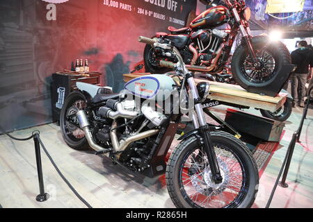 Birmingham, UK. 17 novembre 2018. Cette année, le plus grand show de motos au Royaume-Uni a lieu à la CND du 17 au 25 novembre. Les amateurs de moto se rassemblent pour admirer les derniers produits de l'industrie. Credit : Uwe Deffner/Alamy Live News Banque D'Images