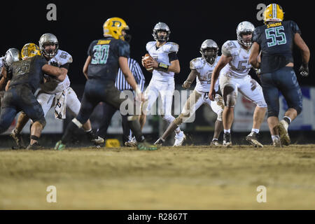 Nov 16, 2018 : Oakdale's Collin Schlee (3) se trouve dans la poche pendant le Maryland State 2A West championnat régional à Damas. MD. Les ours défait les Hornets 24-7 et a brisé leurs 53 victoires, que l'on croit être la plus longue dans l'histoire de l'école de football aux États-Unis. Banque D'Images