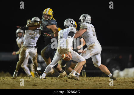 Nov 16, 2018 : Oakdale's Collin Schlee (3) brouille avec le ballon au cours de la Maryland State 2A West championnat régional à Damas. MD. Les ours défait les Hornets 24-7 et a brisé leurs 53 victoires, que l'on croit être la plus longue dans l'histoire de l'école de football aux États-Unis. Banque D'Images