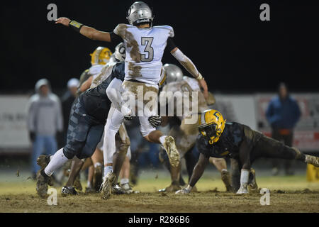 Nov 16, 2018 : Oakdale's Collin Schlee (3) est abordé après passage au cours de la Maryland State 2A West championnat régional à Damas. MD. Les ours défait les Hornets 24-7 et a brisé leurs 53 victoires, que l'on croit être la plus longue dans l'histoire de l'école de football aux États-Unis. Banque D'Images