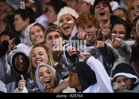 Damas, Maryland, USA, 16 novembre 2018. Oakdale fans célèbrent leur victoire proche lors de la Maryland State 2A West championnat régional à Damas. MD. Les ours défait les Hornets 24-7 et a brisé leurs 53 victoires, que l'on croit être la plus longue dans l'histoire de l'école de football aux États-Unis. Credit : Cal Sport Media/Alamy Live News Banque D'Images