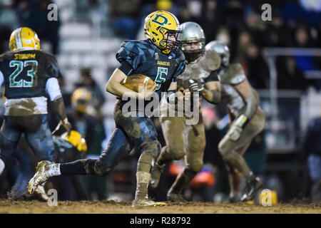 Damas, Maryland, USA, 16 novembre 2018. Damas' Michael O'Neil (5) brouille au cours de la Maryland State 2A West championnat régional à Damas. MD. Les ours défait les Hornets 24-7 et a brisé leurs 53 victoires, que l'on croit être la plus longue dans l'histoire de l'école de football aux États-Unis. Credit : Cal Sport Media/Alamy Live News Banque D'Images