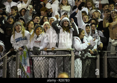 Damas, Maryland, USA, 16 novembre 2018. Oakdale fans célèbrent leur victoire au cours de la Maryland State 2A West championnat régional à Damas. MD. Les ours défait les Hornets 24-7 et a brisé leurs 53 victoires, que l'on croit être la plus longue dans l'histoire de l'école de football aux États-Unis. Credit : Cal Sport Media/Alamy Live News Banque D'Images