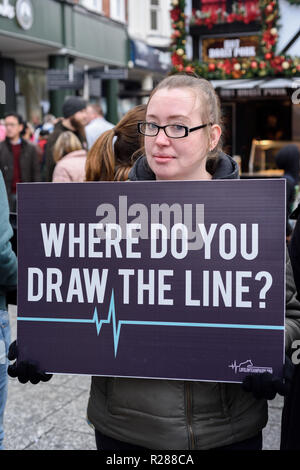 Nottingham, Royaume-Uni. 17 Novembre 2018 : animal LifeLine justice project et le mouvement Save dans la sensibilisation aux causes les plus importantes de l'exploitation des animaux dans le monde, production et expérimentation.protestation silencieuse dans Nottinghams place du vieux marché tôt aujourd'.Crédit : Ian Francis/Alamy Live News Banque D'Images