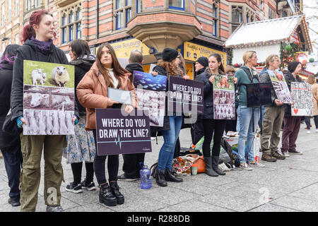 Nottingham, Royaume-Uni. 17 Novembre 2018 : animal LifeLine justice project et le mouvement Save dans la sensibilisation aux causes les plus importantes de l'exploitation des animaux dans le monde, production et expérimentation.protestation silencieuse dans Nottinghams place du vieux marché tôt aujourd'.Crédit : Ian Francis/Alamy Live News Banque D'Images