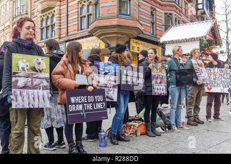 Nottingham, Royaume-Uni. 17 Novembre 2018 : animal LifeLine justice project et le mouvement Save dans la sensibilisation aux causes les plus importantes de l'exploitation des animaux dans le monde, production et expérimentation.protestation silencieuse dans Nottinghams place du vieux marché tôt aujourd'.Crédit : Ian Francis/Alamy Live News Banque D'Images