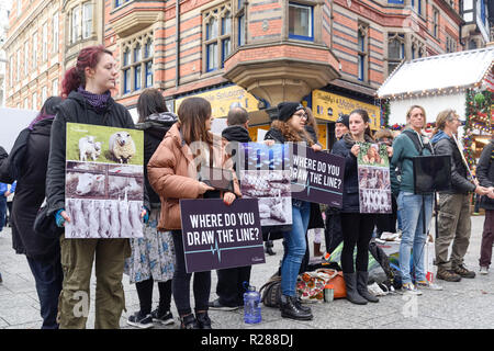 Nottingham, Royaume-Uni. 17 Novembre 2018 : animal LifeLine justice project et le mouvement Save dans la sensibilisation aux causes les plus importantes de l'exploitation des animaux dans le monde, production et expérimentation.protestation silencieuse dans Nottinghams place du vieux marché tôt aujourd'.Crédit : Ian Francis/Alamy Live News Banque D'Images