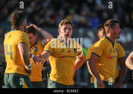 Padova, Italie. 17 novembre, 2018. Le flanker des wallabies Michael Hooper félicite avec son coéquipier pour la sécurité dans le match contre l'Italie en novembre Cattolica Test Match 2018©Massimiliano Carnabuci/Alamy live news Banque D'Images