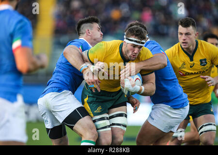 Padova, Italie. 17 novembre, 2018. Blocage de wallabies Izack Rodda breaks de défense de l'Italie en novembre Cattolica Test Match 2018©Massimiliano Carnabuci/Alamy live news Banque D'Images