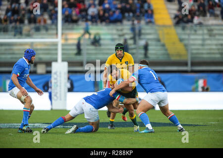 Padova, Italie. 17 novembre, 2018. L'aile des wallabies Adam Ashley Cooper tente de breaks de défense de l'Italie en novembre Cattolica Test Match 2018©Massimiliano Carnabuci/Alamy live news Banque D'Images