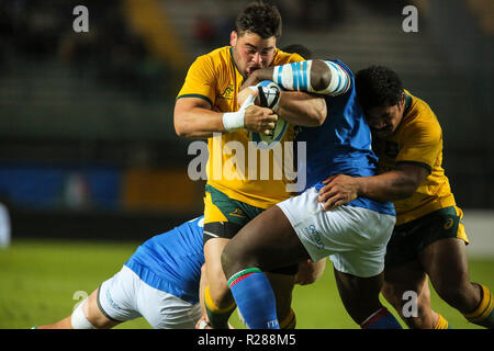 Padova, Italie. 17 novembre, 2018. Wallabies prop Jermaine Ainsley tente de briser la défense de l'Italie en novembre Cattolica Test Match 2018©Massimiliano Carnabuci/Alamy live news Banque D'Images